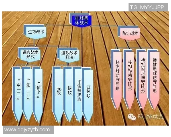 广州排球队在精英赛中的灵活性表现分析与战术探讨 广州排球队在精英赛中的灵活性表现分析与战术探讨