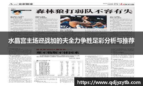水晶宫主场迎战加的夫全力争胜足彩分析与推荐