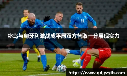 mk体育官网入口