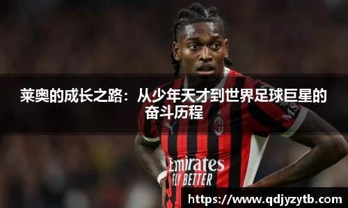 mk体育官网