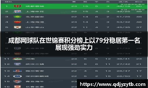 成都网球队在世锦赛积分榜上以79分稳居第一名展现强劲实力