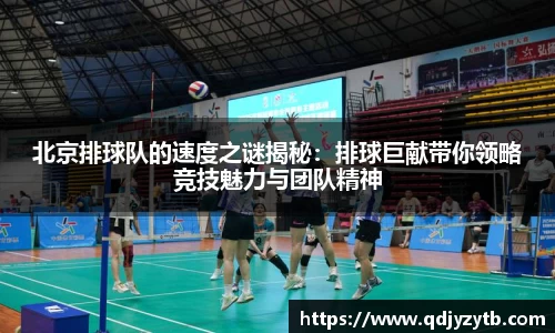 北京排球队的速度之谜揭秘：排球巨献带你领略竞技魅力与团队精神