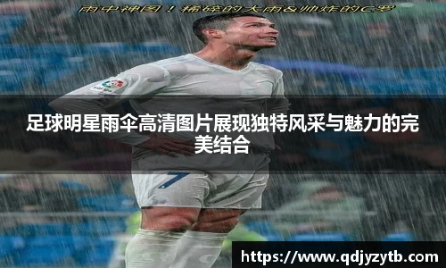 mk体育平台